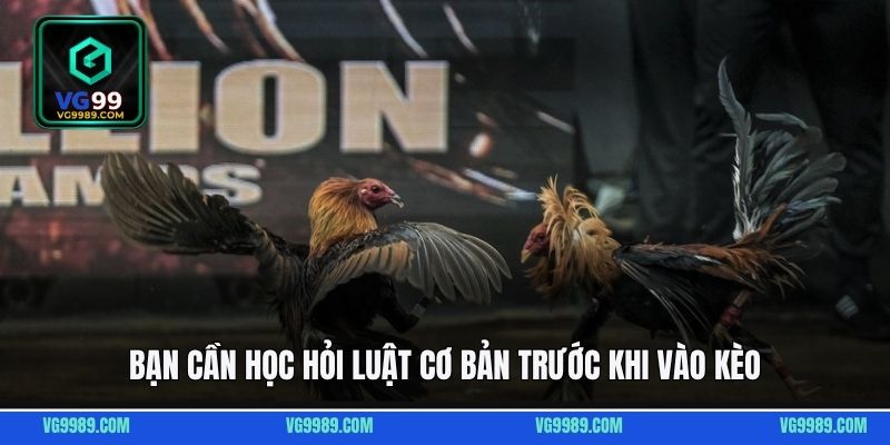 Bạn cần học hỏi luật cơ bản trước khi vào kèo